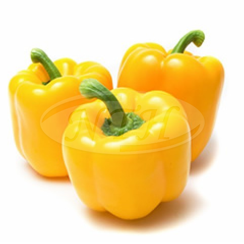 Yellow Capsium/ Capsium Kuning